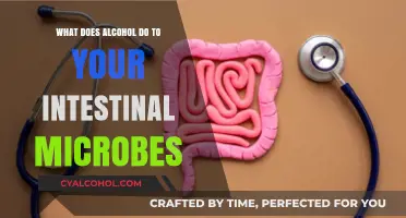How Alcohol Impacts Your Gut Microbiome: Unseen Effects Revealed