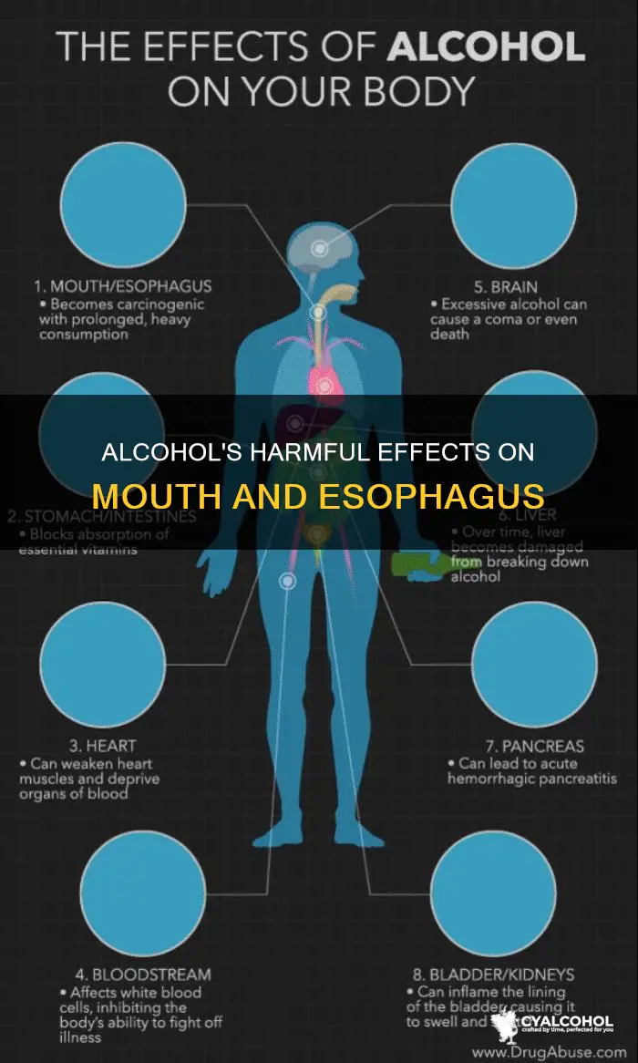 what does alcohol do to your mouth and esophagus