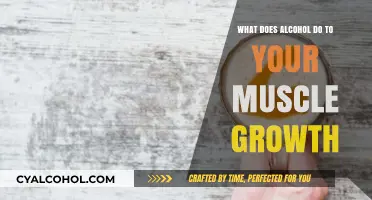 Alcohol's Impact on Muscle Growth: What You Need to Know