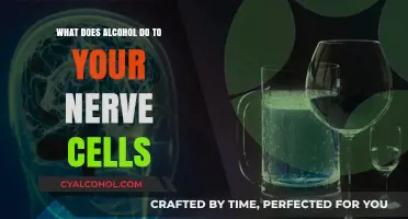 How Alcohol Impacts Your Nerve Cells: Effects and Long-Term Consequences