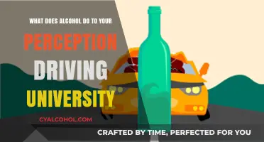 Alcohol Impairment: Driving and University Life