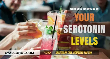 Alcohol's Impact on Serotonin: Unraveling the Brain Chemistry Connection
