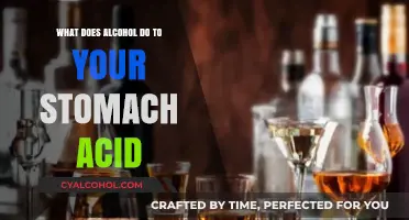 Alcohol's Impact on Stomach Acid: Effects, Risks, and Digestive Health
