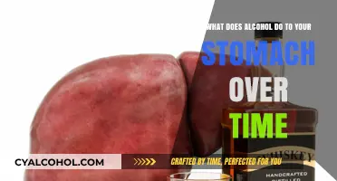 Alcohol's Stomach Damage: The Long-Term Effects