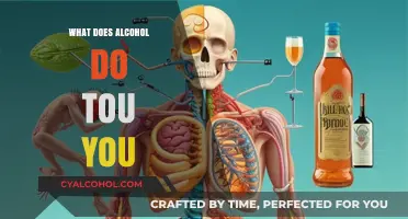 Understanding Alcohol's Impact: Effects on Your Body and Mind Explained
