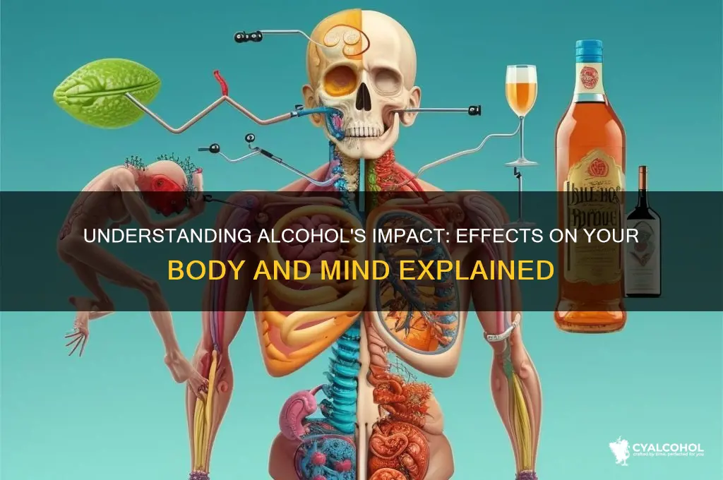 what does alcohol do tou you