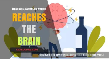 How Alcohol Impacts Your Brain