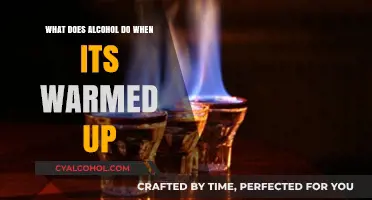 Warming Alcohol: Effects on Flavor, Aroma, and Chemical Composition