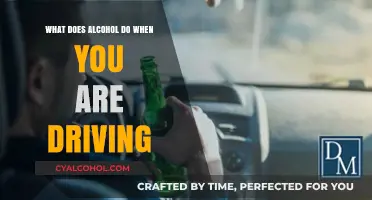 Driving Under the Influence: Alcohol's Dangerous Impact on Road Safety