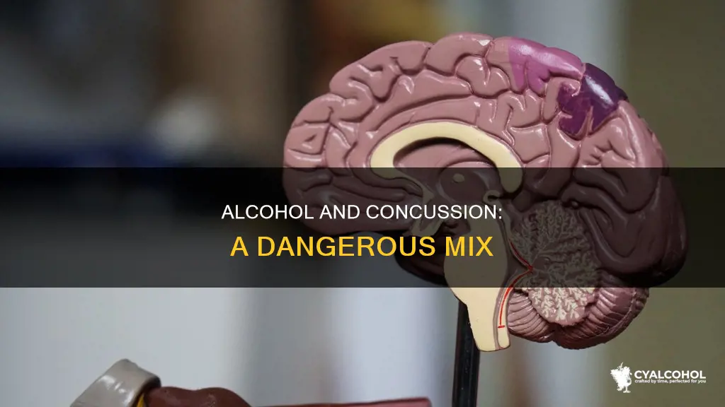 what does alcohol do when you have a concussion