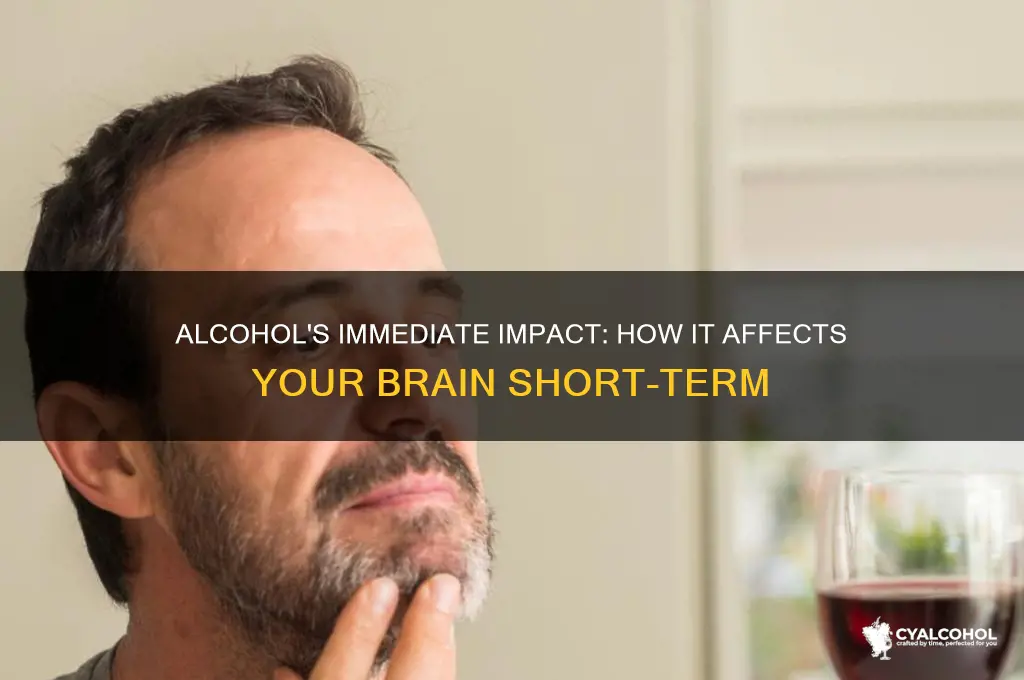 what does alcohol do your brain short term