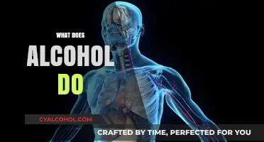 Understanding Alcohol's Impact: Effects on Body, Mind, and Behavior Explained