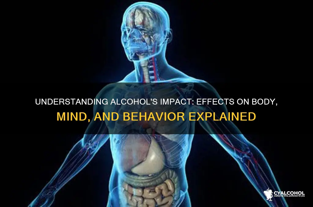 what does alcohol do