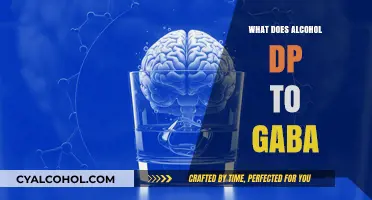 How Alcohol Affects GABA: Understanding Its Impact on Brain Chemistry