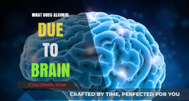 How Alcohol Impacts Brain Function and Long-Term Cognitive Health