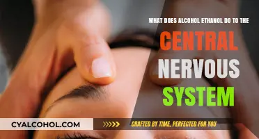 How Alcohol Impacts the Central Nervous System