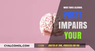 How Alcohol First Impairs Your Brain and Motor Skills