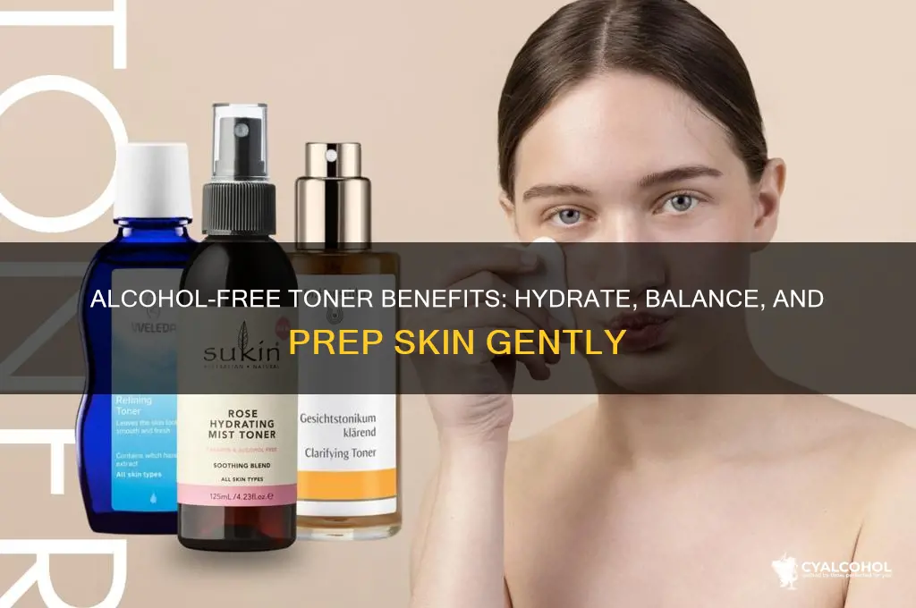 what does alcohol free toner do