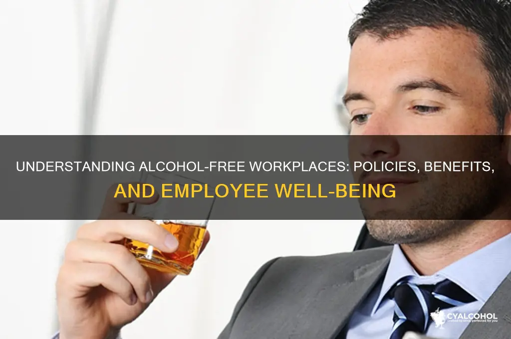 what does alcohol free workplace mean