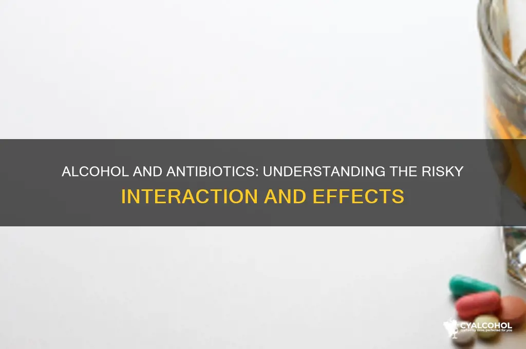 what does alcohol have to do with antibiotics