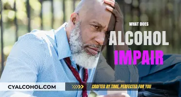 How Alcohol Impairs Your Brain, Body, and Behavior: A Deep Dive