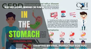 Alcohol and Stomach: Increased Flow of Fluids
