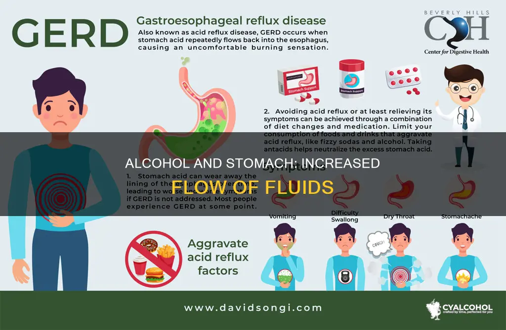 what does alcohol increases the flow of in the stomach