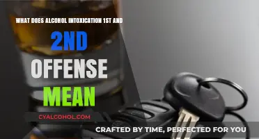 Understanding Alcohol Intoxication Offenses and Their Meanings