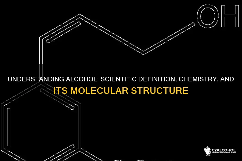 what does alcohol mean in science