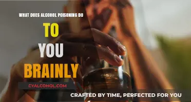 Alcohol Poisoning's Impact on the Brain: Symptoms, Risks, and Recovery