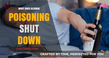 Alcohol Poisoning: How It Shuts Down Vital Organs and Functions