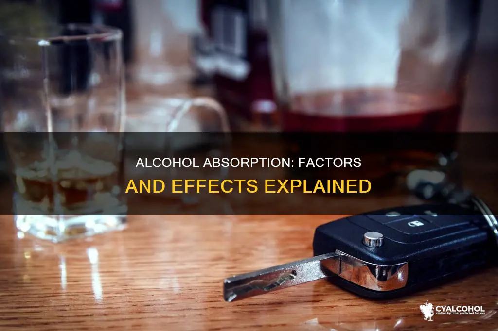 what does alcohol rate of absorption have to do with