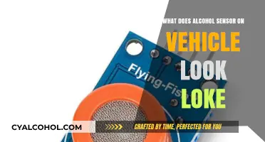 What Does an Alcohol Sensor in Vehicles Look Like?