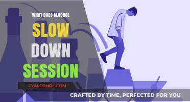 How Alcohol Slows Down Your Session: Understanding the Effects