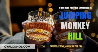 Alcohol's Symbolic Role in 'Jumping Monkey Hill': A Thematic Analysis