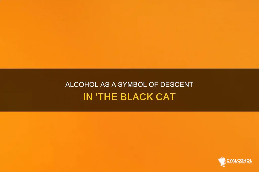 what does alcohol symbolize in the black cat