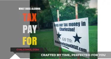 How Alcohol Tax Revenue Funds Public Services and Programs
