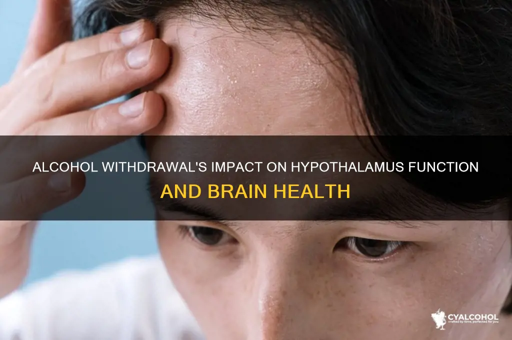 what does alcohol withdrawal do to the hypothalamus