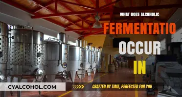 Where Alcoholic Fermentation Happens: Unveiling the Surprising Environments