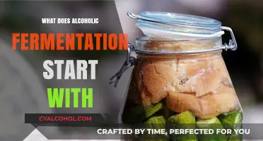 Unveiling Alcoholic Fermentation: The Essential Starting Ingredients Explained