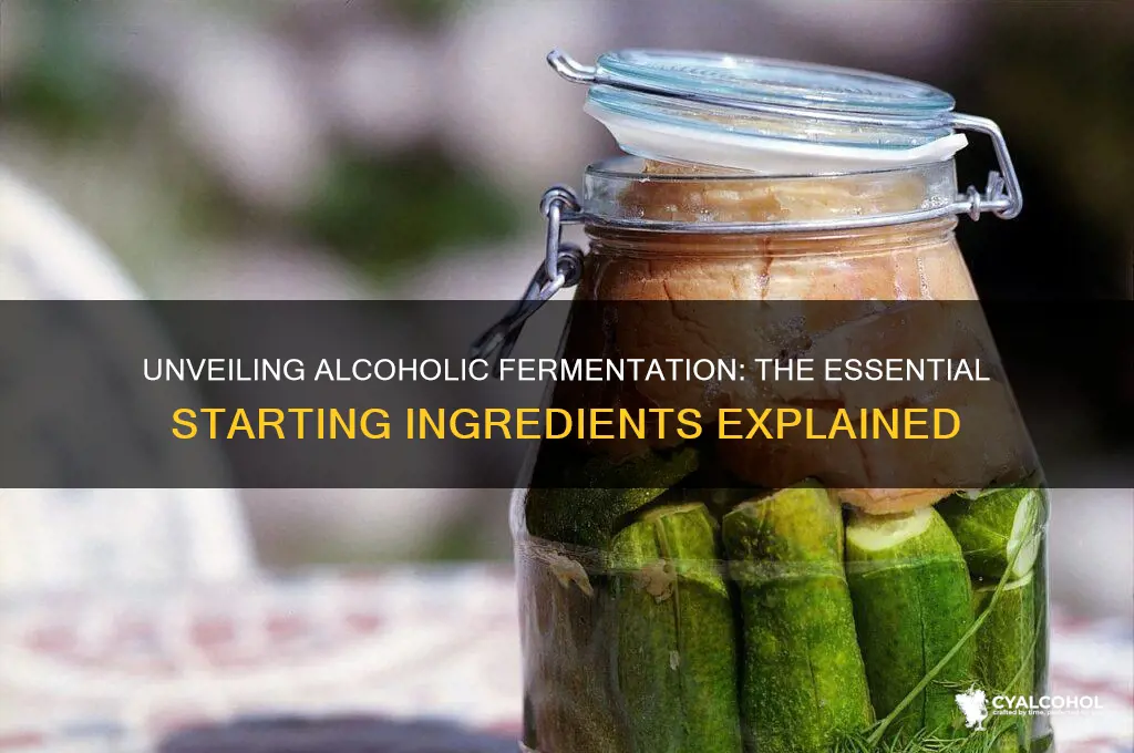 what does alcoholic fermentation start with
