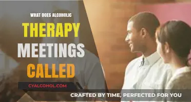 Understanding Alcoholic Therapy Meetings: Names, Purpose, and Benefits