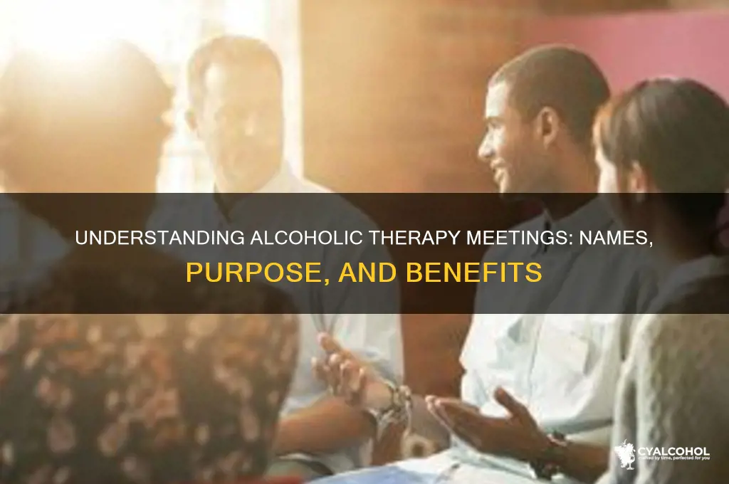 what does alcoholic therapy meetings called