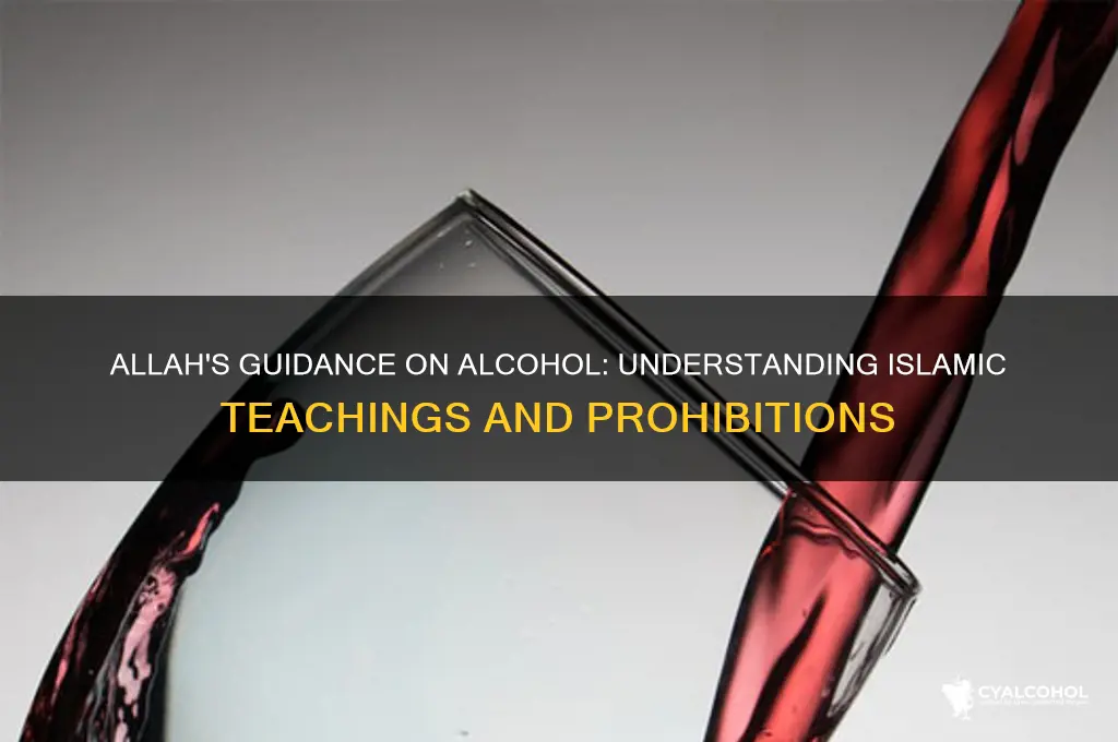 what does allah say about alcohol