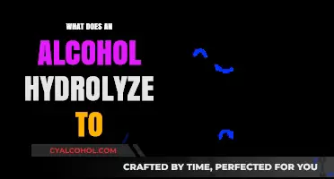 Understanding Alcohol Hydrolysis: Products, Reactions, and Chemical Breakdown Explained