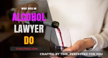 Understanding the Role of an Alcohol Lawyer in Legal Cases