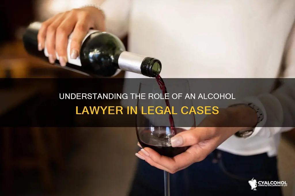 what does an alcohol lawyer do