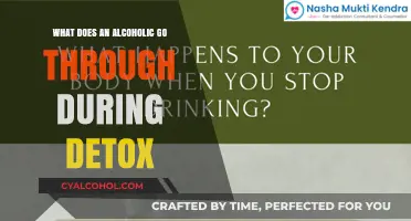 Detox Realities: The Physical and Emotional Journey of Alcohol Withdrawal