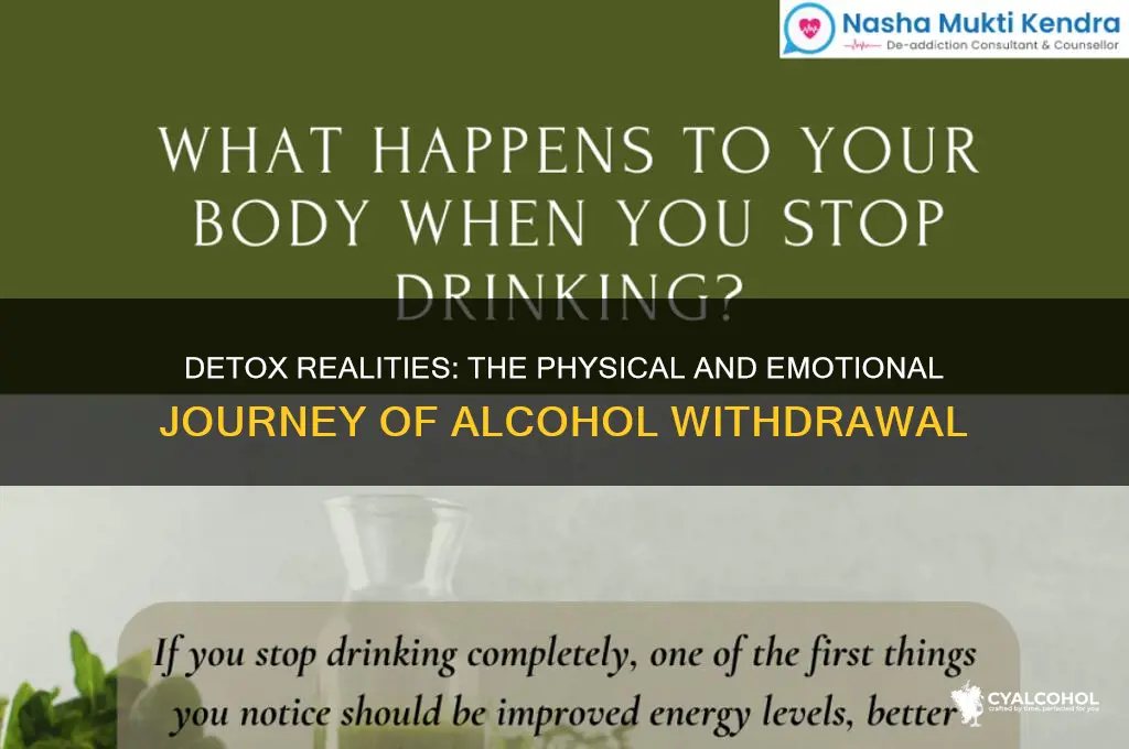 what does an alcoholic go through during detox