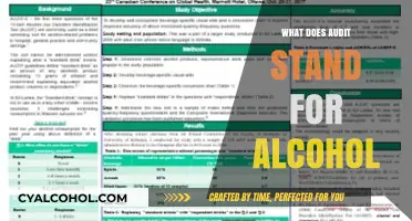 Understanding AUDIT: Alcohol Use Disorders Identification Test Explained